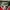Reebok Vintage Sportswear Jersey Pria red photo 3