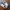 Nike Air Jordan Sportswear Casual Sneakers Pria white photo 1