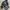 True Religion Y2K Avant Garde Hoody Pria black photo 5