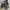 True Religion Y2K Avant Garde Hoody Pria black photo 1
