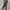 Levi's Vintage Grunge Jeans Pria black photo 2