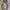 PPFM Vintage Y2K Jeans Pria Navy Gray