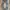 PPFM Vintage Y2K Jeans Pria navy gray photo 8