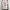 Tee KISS Cr 2023 photo 1