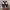 VANS Y2K Skater Sneakers Pria white black photo 2
