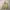 Vintage Casual Casual shirt Pria yellow photo 1