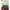 FINDKAPOOR Luxury Minimalist Handbag Wanita green pink photo 2