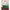 FINDKAPOOR Luxury Minimalist Handbag Wanita Green Pink