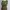 Vintage Luxury Blouse Wanita green photo 2