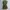 Vintage Luxury Blouse Wanita green photo 3
