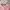 Adidas Luxury Casual Sweatshirt Pria pink photo 7