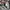 Diesel Vintage Y2K Jeans Pria white gray photo 4