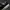 Converse Emo Casual Sneakers Pria white black photo 5