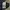 Carhartt Streetwear Y2K T-shirt Pria navy photo 5