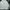 Adidas Luxury Sweater Pria white photo 3