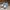 Dickies Casual Sneakers Pria white gray photo 2