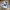 Nike Casual Sneakers Pria white black photo 1