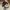 Nike Casual Sneakers Pria multicolor photo 4