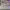 Streetwear Sportswear Sneakers Pria gray photo 5