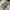 Streetwear Sportswear Sneakers Pria gray photo 7