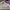 Streetwear Sportswear Sneakers Pria gray photo 3