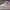 Streetwear Sportswear Sneakers Pria gray photo 1