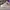 Streetwear Sportswear Sneakers Pria Gray