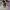 Streetwear Sportswear Sneakers Pria gray photo 4