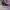 Streetwear Sportswear Sneakers Pria gray photo 3
