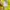 Puma Streetwear Sportswear Track jacket Pria green yellow photo 8