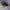 Streetwear Sportswear Sneakers Pria gray photo 3