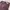 Vintage Y2K Skinny jeans Wanita purple photo 4