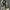 Converse Minimalist Sneakers Pria black photo 4