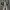 Converse Minimalist Sneakers Pria black photo 5