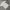 Casual T-shirt Pria white photo 4