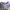 The Real McCoy's Top Kids purple photo 3