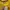 New Balance Streetwear Windbreaker Pria yellow photo 2