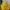 New Balance Streetwear Windbreaker Pria yellow photo 5
