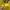 New Balance Streetwear Windbreaker Pria yellow photo 3