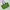 Hysteric Glamour Streetwear Y2K Tote bag Wanita green photo 1