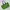 Hysteric Glamour Streetwear Y2K Tote Bag Wanita Green