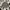 Beverly Hills Polo Club Casual Casual Shirt Pria Gray