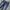 Vintage Pria navy photo 3