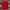 Puma Sportswear T-shirt Pria red photo 2