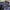 Adidas Sportswear T-shirt Pria navy photo 4