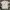 Levi's Luxury Casual Polo shirt Pria white photo 2