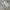 Casual T-shirt Pria white photo 1