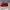VANS Streetwear Casual Sneakers Wanita burgundy red photo 3
