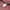 Mark Gonzales Minimalist Jumper Pria pink photo 6