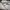 Adidas Streetwear Sportswear Sweatshirt Pria gray photo 6